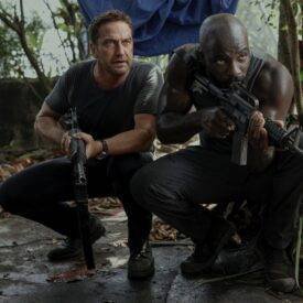 KOM ROYAL KOM ROYAL image2